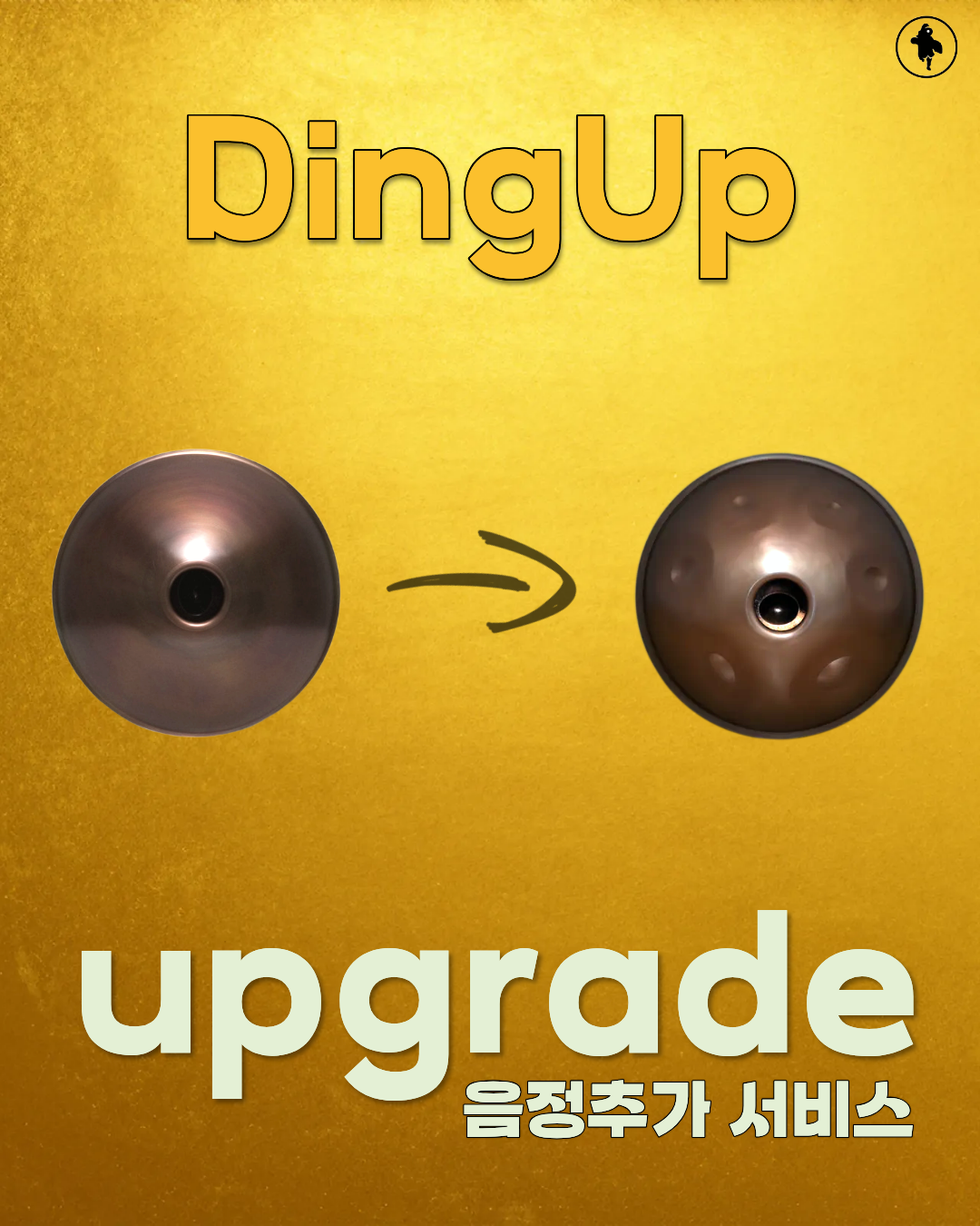 DingUp 바텀 업그레이드